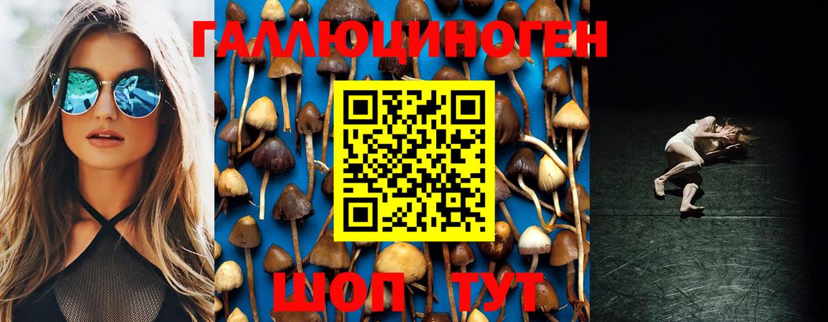 Черняховск  Псилоцибиновые грибы мухоморы  Вход с VPN 