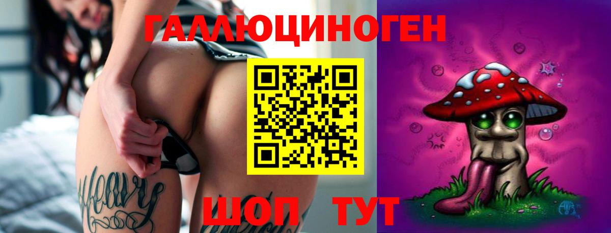 Галлюциногенные грибы прущие грибы Черняховск